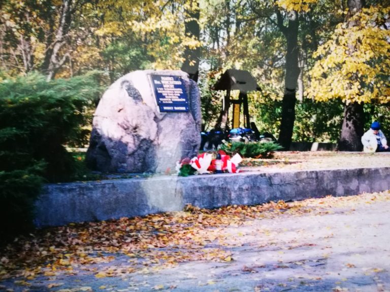 124155619_420773612645679_5875525351386005259_o